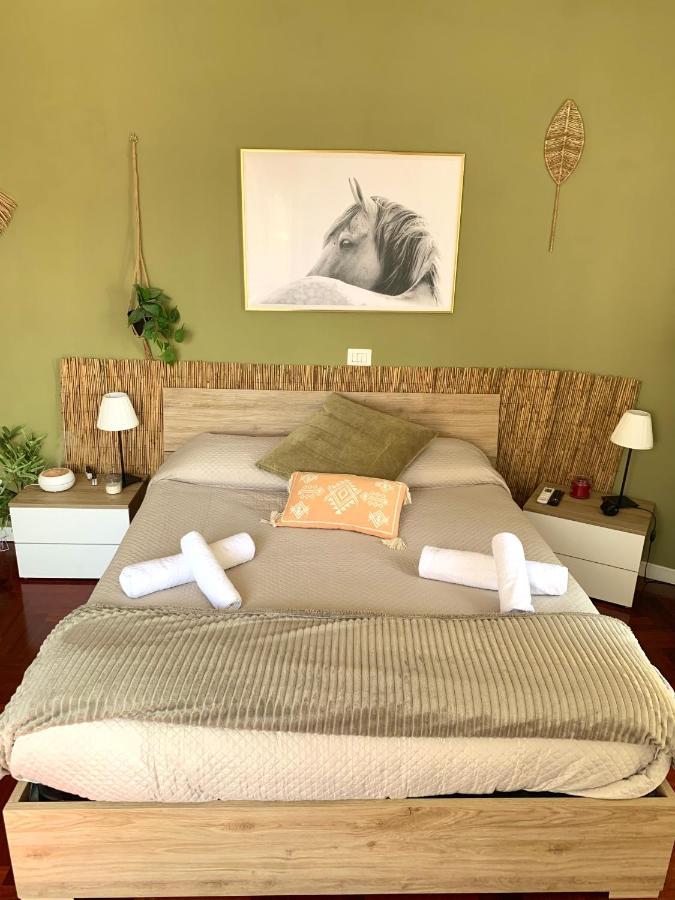 Appartement Materdei